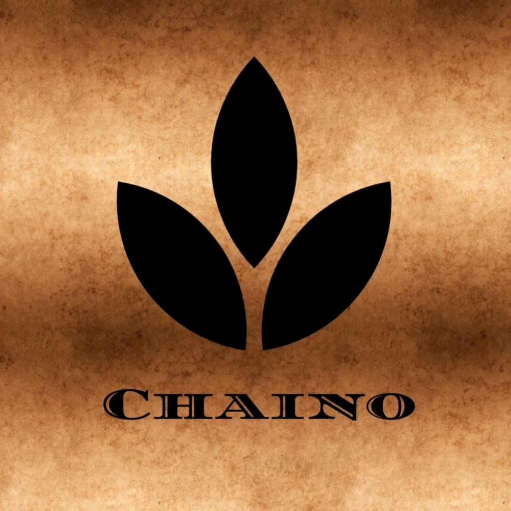 Chaino – Ponchos y gorras buckets variedad de colores